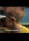 Hammerhead (2009).jpg